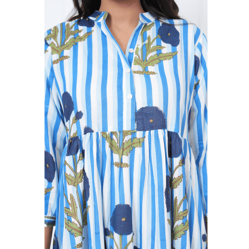 Blue White Stripe Print Maxi Anokhi Dress