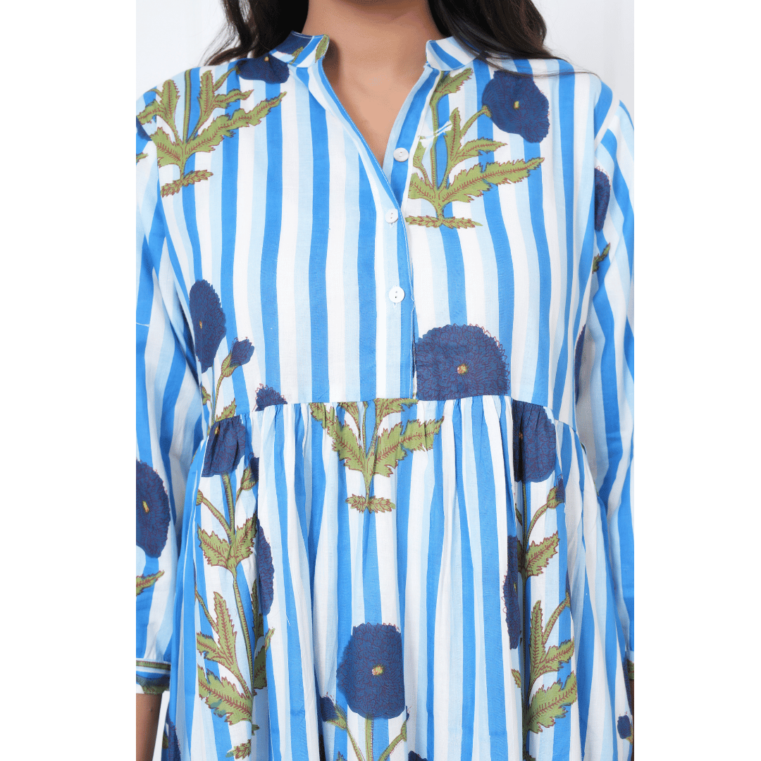 Blue White Stripe Print Maxi Anokhi Dress